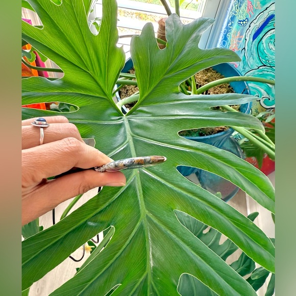 Dendritic Opal necklace - Picture 6 of 8